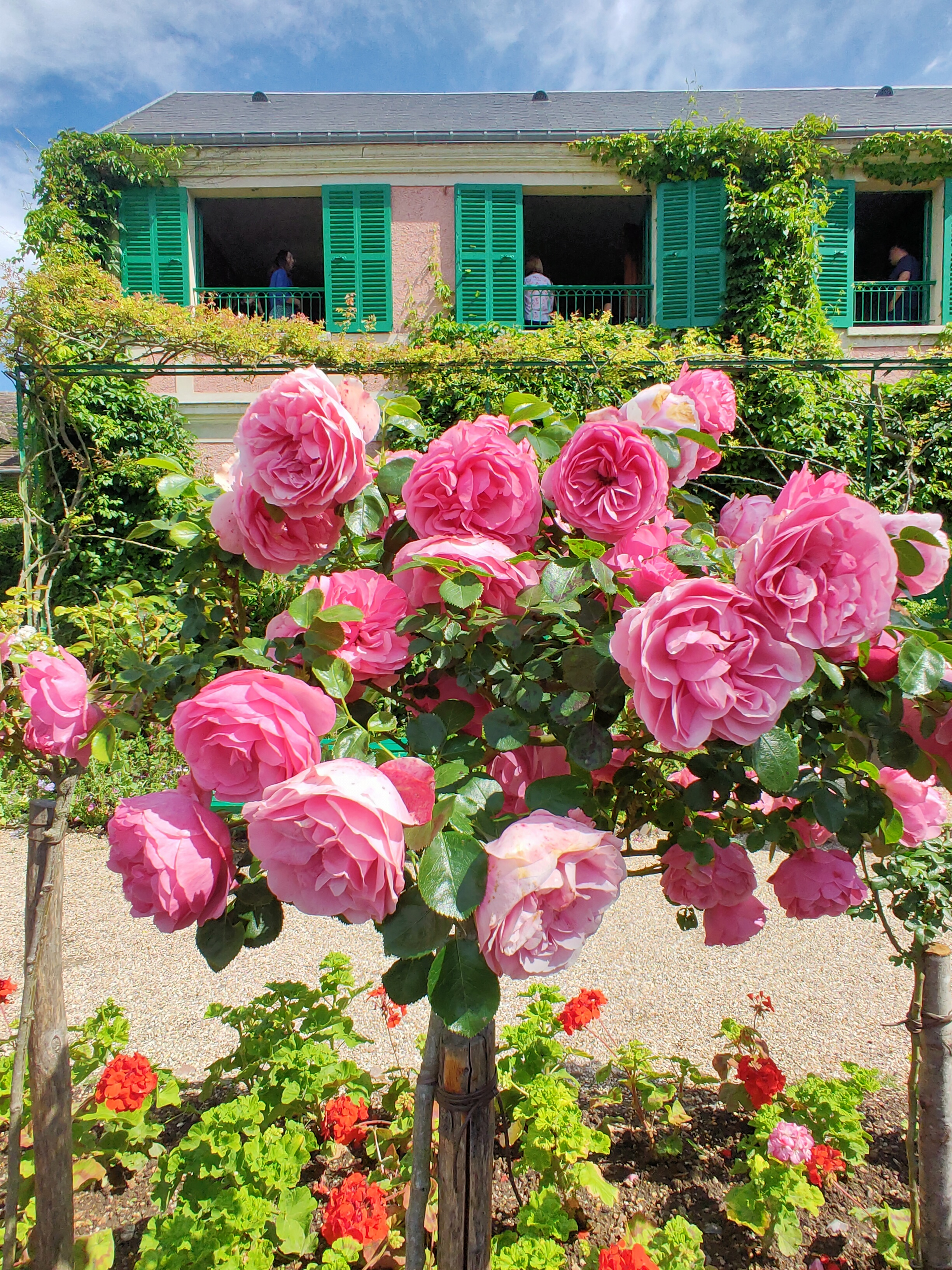 Photo n° 23 de l'avis de Juliette.e fait le 08/06/2022 à 08:02