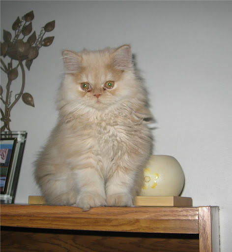 Self-Storage Facility «Storage Outlet Bellflower», reviews and photos, 10326 Foster Rd, Bellflower, CA 90706, USA