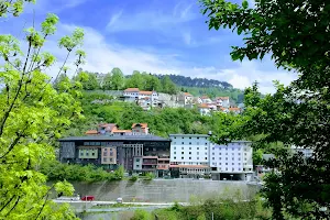 Hotel Saraj image