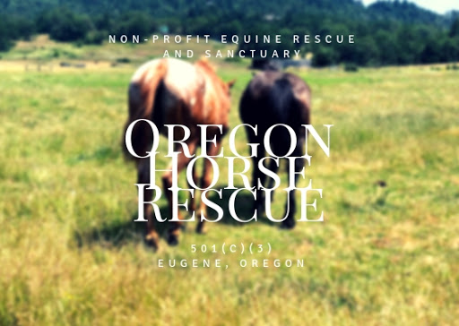 Oregon Horse Rescue