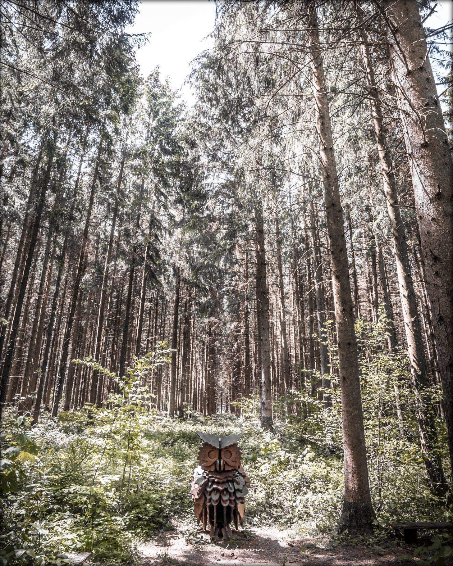 Photo n° 6 de l'avis de Pierre.e fait le 30/05/2019 à 14:15