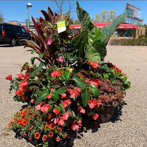 Florist «Arts & Flowers Inc», reviews and photos, 6011 Excelsior Blvd, Minneapolis, MN 55416, USA