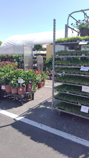 Shopping Mall «Fairfield Shopping Center», reviews and photos, 5322 Lord Dunmore Ct, Virginia Beach, VA 23464, USA