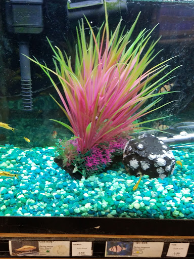 Garden Center «A W Brown Pet & Garden», reviews and photos, 144 Shaker Rd, East Longmeadow, MA 01028, USA