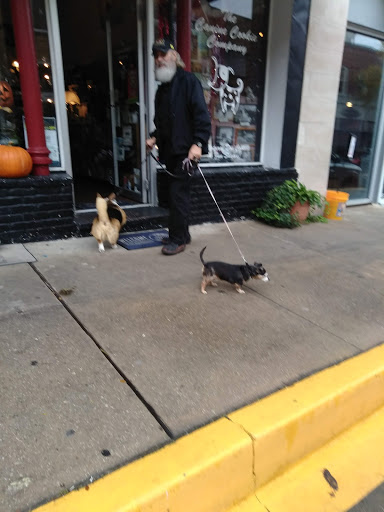 Pet Store «The Canine Cookie Company», reviews and photos, 207 E Louisiana St, McKinney, TX 75069, USA