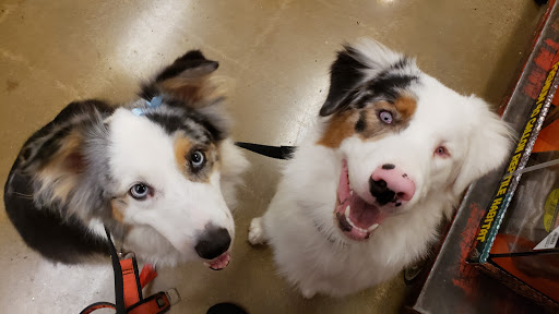 Pet Supply Store «PetSmart», reviews and photos, 860 Cobb Pl Blvd NW, Kennesaw, GA 30144, USA