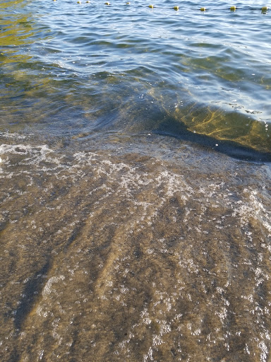 Park «Chism Beach Park», reviews and photos, 9600 SE 11th St, Bellevue, WA 98004, USA