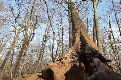 Park «Mills Reservation County Park», reviews and photos, Highland Ave, Cedar Grove, NJ 07009, USA