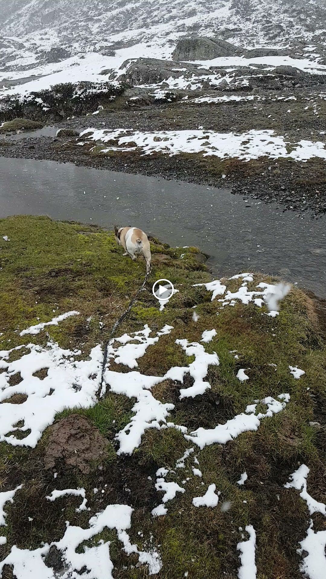Photo n° 2 de l'avis de X. fait le 16/01/2024 à 17:31