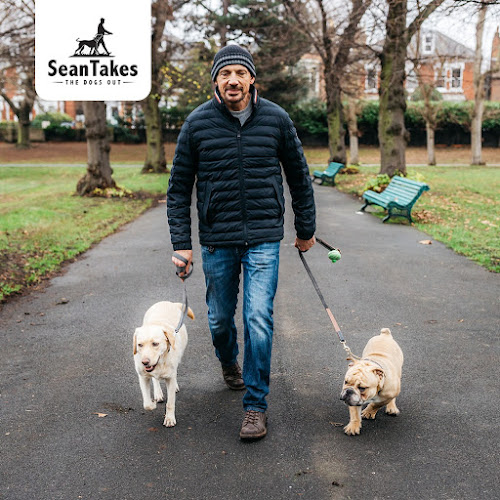 Reviews of Sean Takes The Dogs Out in London - Dog trainer