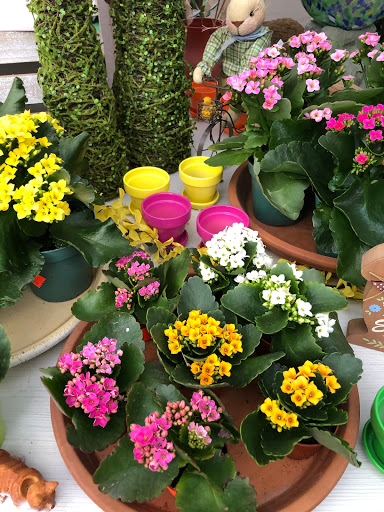 Garden Center «Gro-Rite Garden Center & Florist», reviews and photos, 30 Hillview Rd, Lincoln Park, NJ 07035, USA