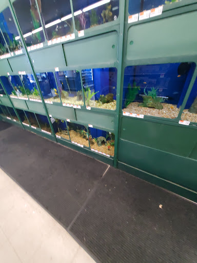 Pet Supply Store «Pet Supplies Plus», reviews and photos, 471 Boston Post Rd, Orange, CT 06477, USA