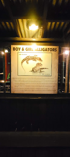 Restaurant «Fudpuckers Beachside Bar & Grill», reviews and photos, 20001 Emerald Coast Pkwy, Destin, FL 32541, USA