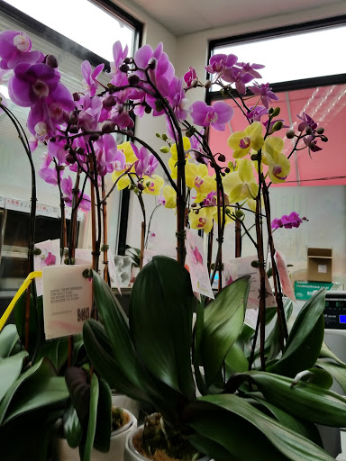 Supermarket «Forum Supermarket», reviews and photos, 6501 7th Ave, Brooklyn, NY 11220, USA