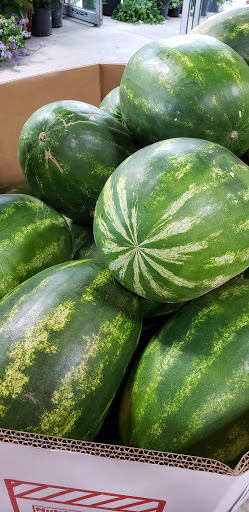 Produce Market «Southside Produce Co Inc», reviews and photos, 8240 Perkins Rd, Baton Rouge, LA 70810, USA