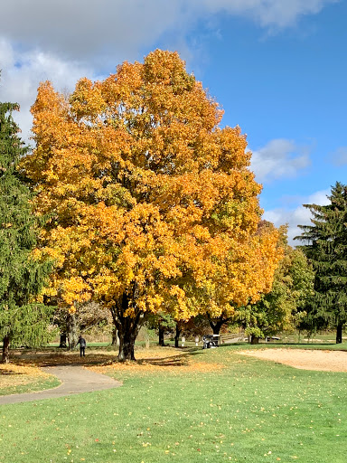 Golf Course «Blacklick Woods Metro Golf», reviews and photos, 7309 E Livingston Ave, Reynoldsburg, OH 43068, USA