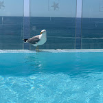 Photo n°5 de l'avis de António.a fait le 09/06/2021 à 13:51 sur le  Rocamar Exclusive Hotel & Spa à Albufeira