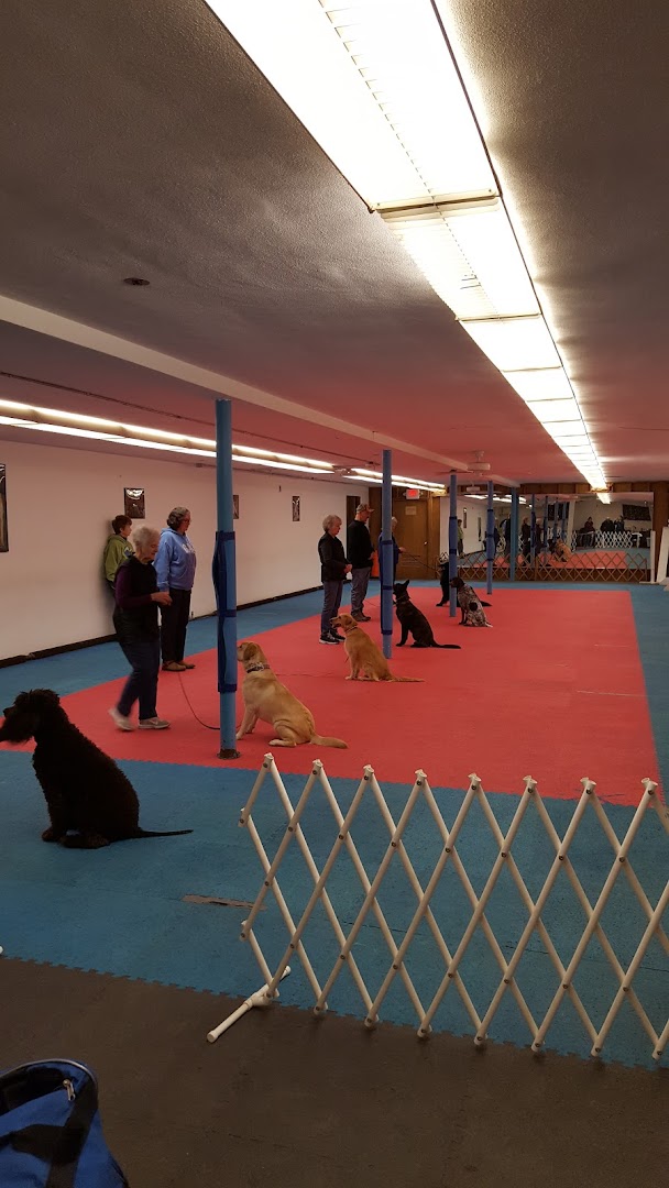 Southtowns Dog Training Club