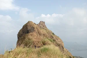 Tung Fort image