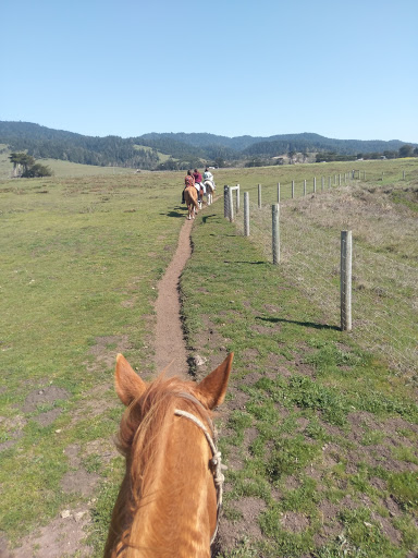 Stable «Ross Ranch», reviews and photos, 28300 Philo Greenwood Rd, Elk, CA 95432, USA