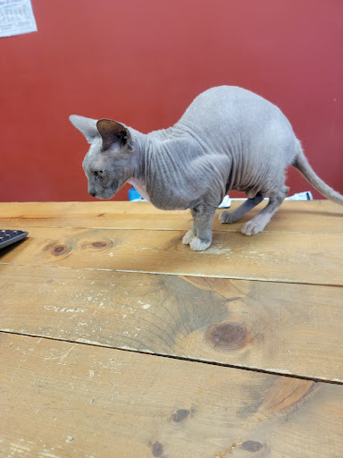 Pet Groomer «Perfect Pet Food & Accessories», reviews and photos, 618 N Main St, Bluffton, IN 46714, USA