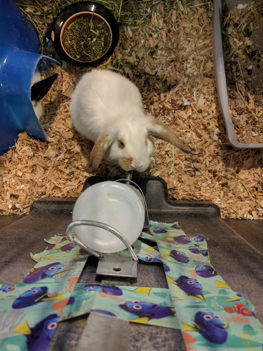 Pet Store «All About Pets LLC», reviews and photos, 52567 Columbia River Hwy, Scappoose, OR 97056, USA