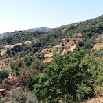 Photo n°3 de l'avis de Helga.u fait le 19/07/2019 à 07:39 sur le  La Cantinetta - Cucina tipica - Enoteca e pizza à Badolato