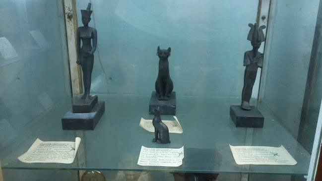 Opiniones de Instituto Uruguayo De Egiptología en Ciudad de la Costa - Museo