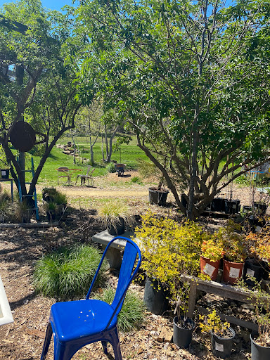 Coffee Shop «Mountain Sage», reviews and photos, 18653 Main St, Groveland, CA 95321, USA