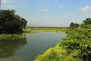 Haduk Hanging Bridge image