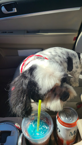 Pet Supply Store «Petco Animal Supplies», reviews and photos, 3384 Tyler St, Riverside, CA 92503, USA