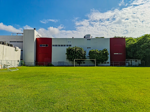 UVM Tuxtla - Universidad del Valle de México