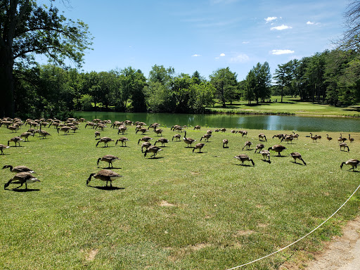 Golf Course «Pine Ridge Golf Course», reviews and photos, 2101 Dulaney Valley Road, Lutherville, MD 21093, USA