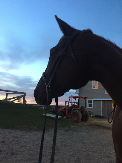 Todd Hill Farm