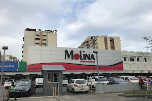 Molina image
