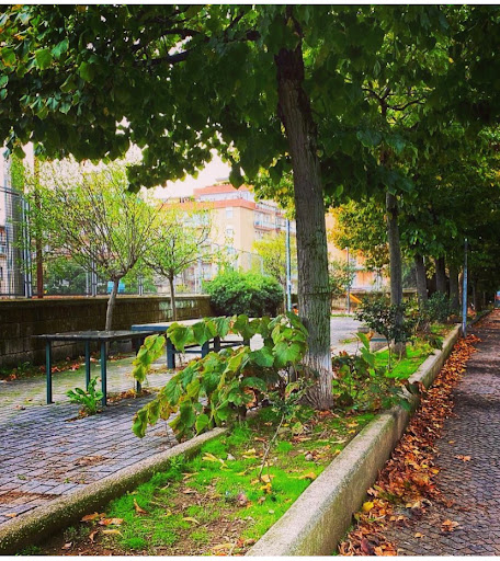 Giardini Della Metropolitana