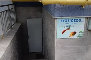 ExoticZOO image