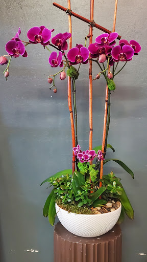 Florist «Arden Park Florist & Gift Gallery», reviews and photos, 564 La Sierra Dr, Sacramento, CA 95864, USA