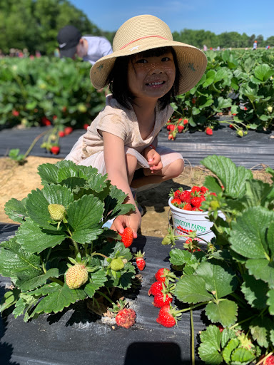 Farm «Warbington Farms (U-Pick Strawberries)», reviews and photos, 5555 Crow Rd, Cumming, GA 30041, USA