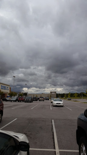 Pet Supply Store «Petco Animal Supplies», reviews and photos, 8213 Hwy 72 W c, Madison, AL 35758, USA