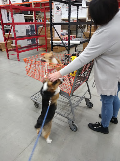 Home Improvement Store «The Home Depot», reviews and photos, 1013 S Hanover St, Carlisle, PA 17013, USA