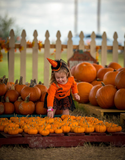 Pumpkin patch Corpus Christi