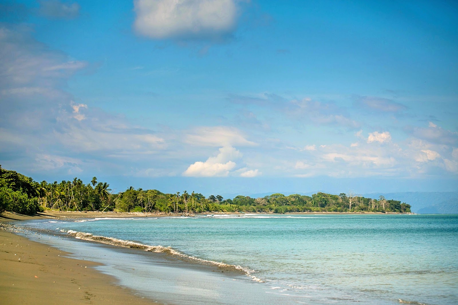 Zdjęcie Playa Tamales z poziomem czystości wysoki