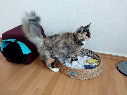 Tiergesundheitszentrum Bliesgau E. Pittendörfer unter Mandelbachtal, Saarland