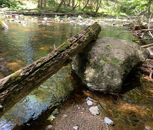 Palermo Preserve