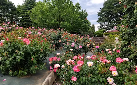 Sayama City Toshiryokka Botanical Garden image