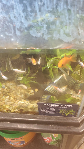 Pet Supply Store «Petco Animal Supplies», reviews and photos, 85 State St, Orem, UT 84058, USA