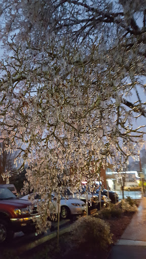 Liquor Store «Downtown Liquor Store», reviews and photos, 401 W 11th Ave, Eugene, OR 97401, USA