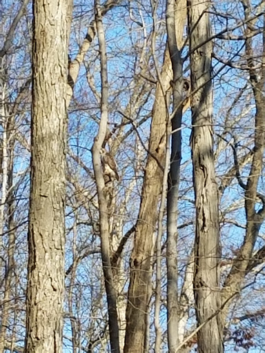 Golf Course «Richter Park Golf Course», reviews and photos, 100 Aunt Hack Rd, Danbury, CT 06811, USA