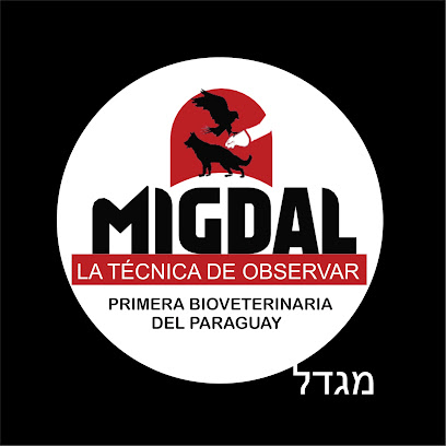 MIGDAL Paraguay
